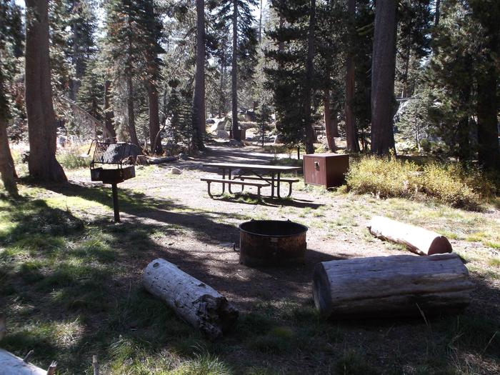 Site 12Wrights Lake tent site #12