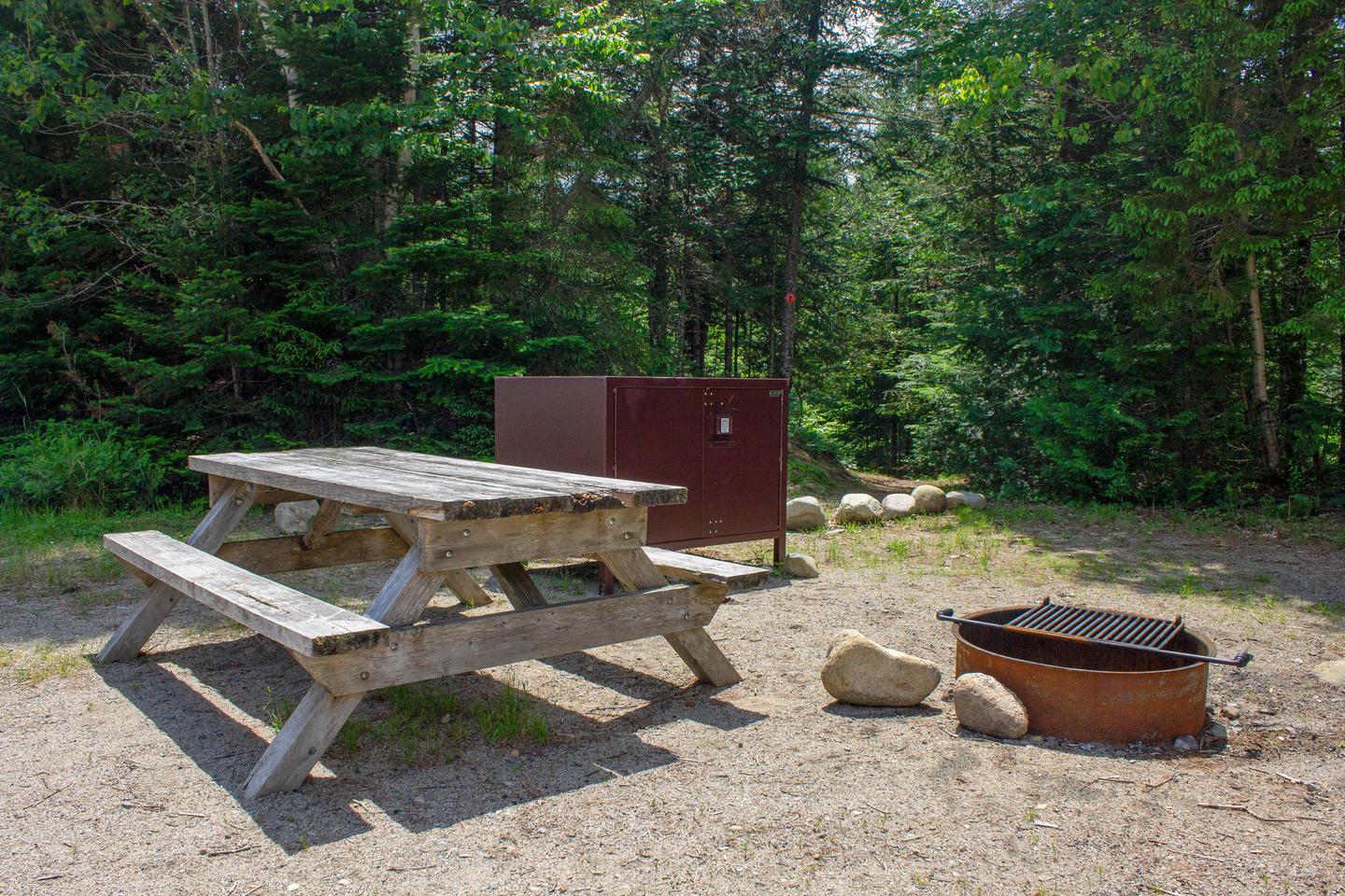 A picture of a campsite with the woods behind it. The ground is composed of gravel and dirt. On the left is a wooden picnic table, behind it is a brown metal food storage box, and to the right is a metal fire ring. It is a sunny day.One out of the two campsites along the forested side of Sandbank Stream Campground.