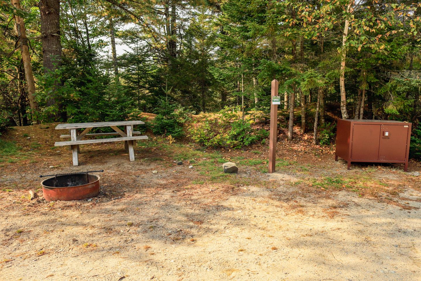A picture of a campsite with tall trees and vegetation behind it. The ground is composed of gravel and dirt. On the left is a wooden picnic table with a metal fire ring in front of it. A wooden post stands upright to the right of the picnic table with an "open" tag on it. A metal wooden food storage box is on the far right. It is a sunny fall day with warm light. One out of the two campsites located along the forested side of Sandbank Stream Campground.