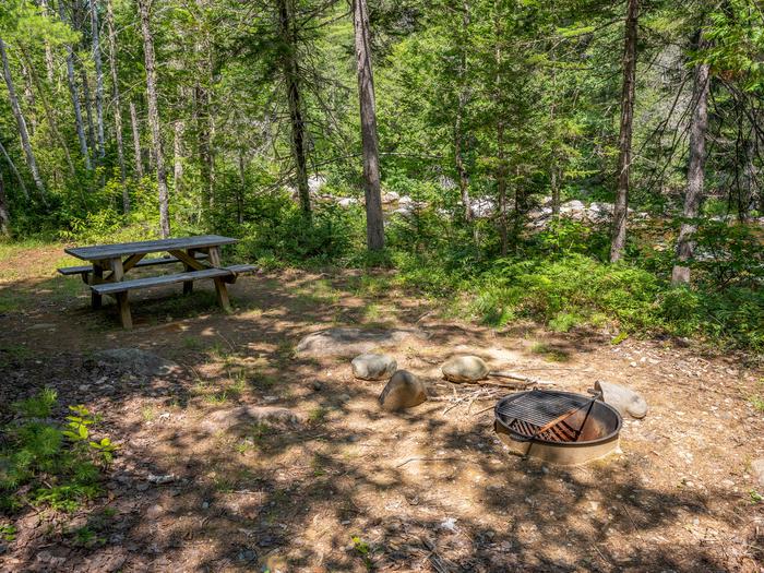 A wooden picnic table to the left of the campsite with a metal fire ring to the right with some stones around it. The campsite has a dirt surface with bright green brush and tall evergreen trees around it.Esker Campsite is located by Wassataquoik Stream. Hike or bike in 2 miles to access the campsite.
