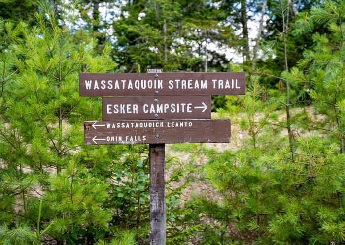 A brown wooden post that has three separate brown horizontal wooden signs with place names engraved with white paint affixed at the top of the post. The first sign at the top shows Wassataquoik Stream Trail, the second wooden sign shows Esker Campsite with an arrow pointing tot he right, the bottom sign has Wassataqoik LeanTo and Orin Falls with arrows pointed to the left. Behind the sign are evergreen trees with the blue sky showing through branches.A trail sign that points towards Esker Campsite.