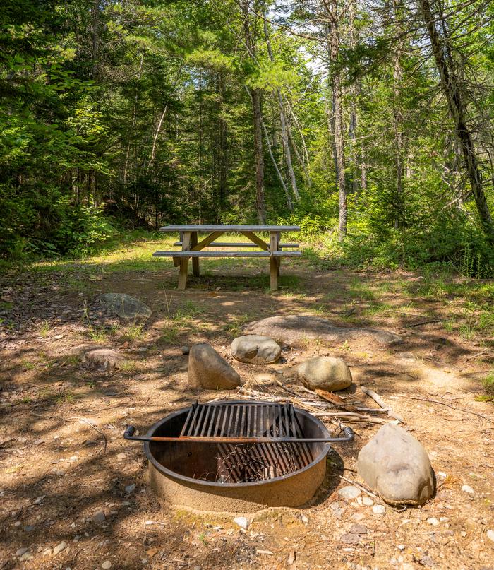 A metal fire ring inset into the dirt ground with large stones around the ring. A picnic table is set back in the campsite and tall tress and grass grow behind the picnic table.Enjoy a campfire at the picnic site!