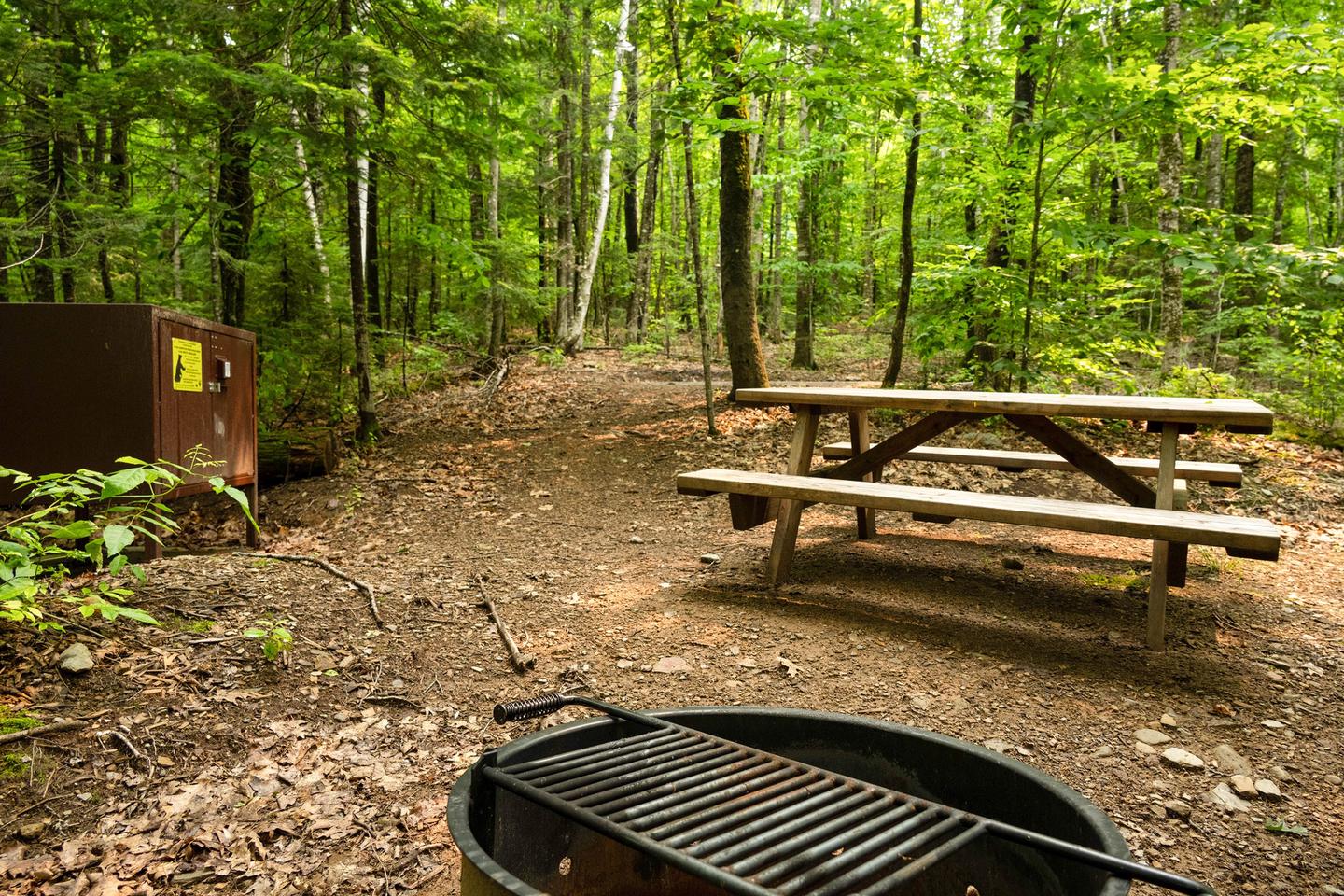 The campsite has a picnic area. A metal fire ring is next to the picnic table on the right. A metal brown food storage locker is across from the picnic table.Enjoy a picnic at the campsite. Remember to use the food locker for all scented items!