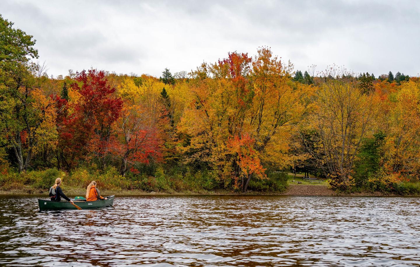 Two people in a canoe navigate towards a clearing (Lunksoos Boat Launch) on a cloudy day. Colorful golden and red tress with evergreens decorate the landscape.Lunksoos Campground can be accessible by boat! Enjoy the views of the East Branch of the Penobscot River during your stay.
