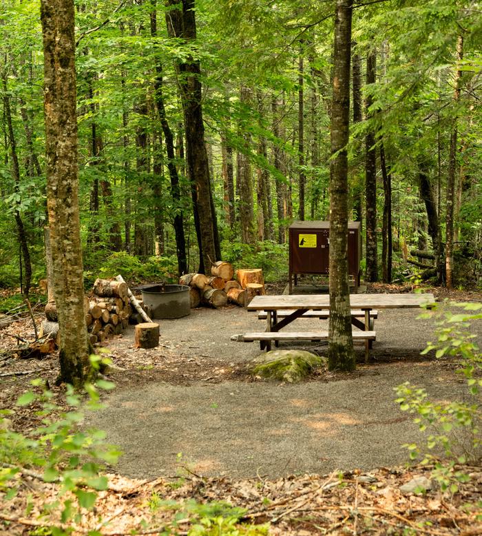 A gravel campsite that has a metal fire ring, metal brown food storage box, and a wooden picnic table. The site is fairly level with many trees surrounding the site.A level gravel area is available for you to set up your tent at this site.