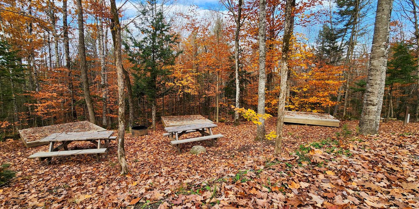 A fall photo of campsite six. Two picnic tables and three raised wooden platforms are surrounded by brown and red leaves on the ground. A few evergreens remain in the forest behind it with most trees having red, yellow, and orange leaves. The blue sky can be seen through the bare branches.Lunksoos Group Site 6 is a colorful site in the fall.