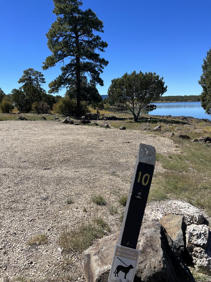 Forked Pine Campground - Site 10