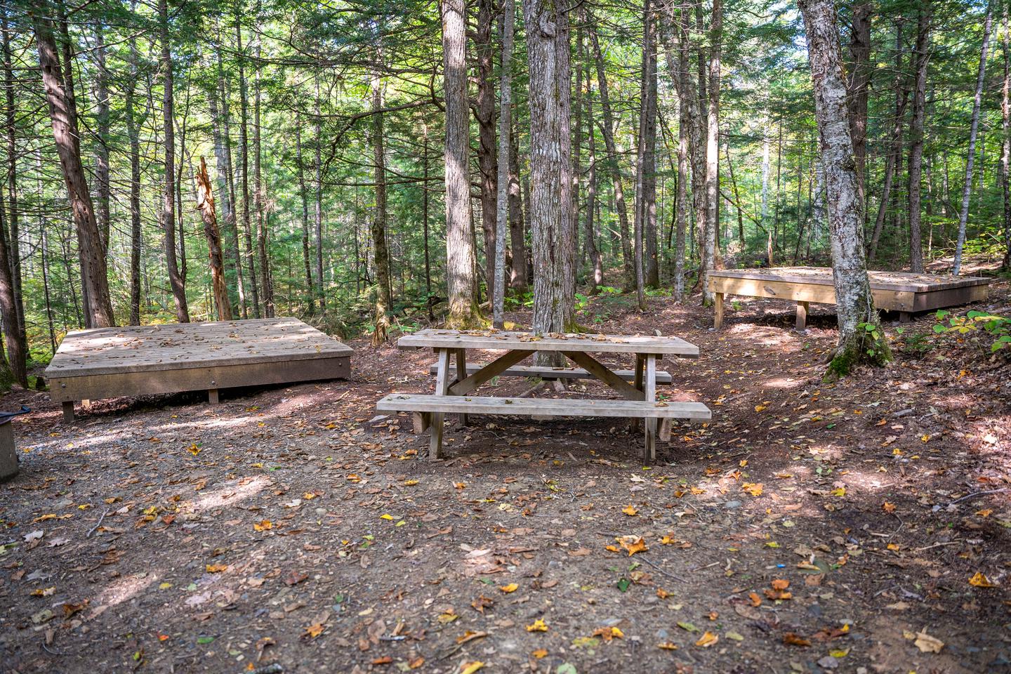 Two raised square wooden platforms with a wooden picnic table in front of them. The platforms are on dirt surfaces while the picnic area has gravel. A green dense forest is behind the campsite.Enjoy the shaded space of group campsite 7.
