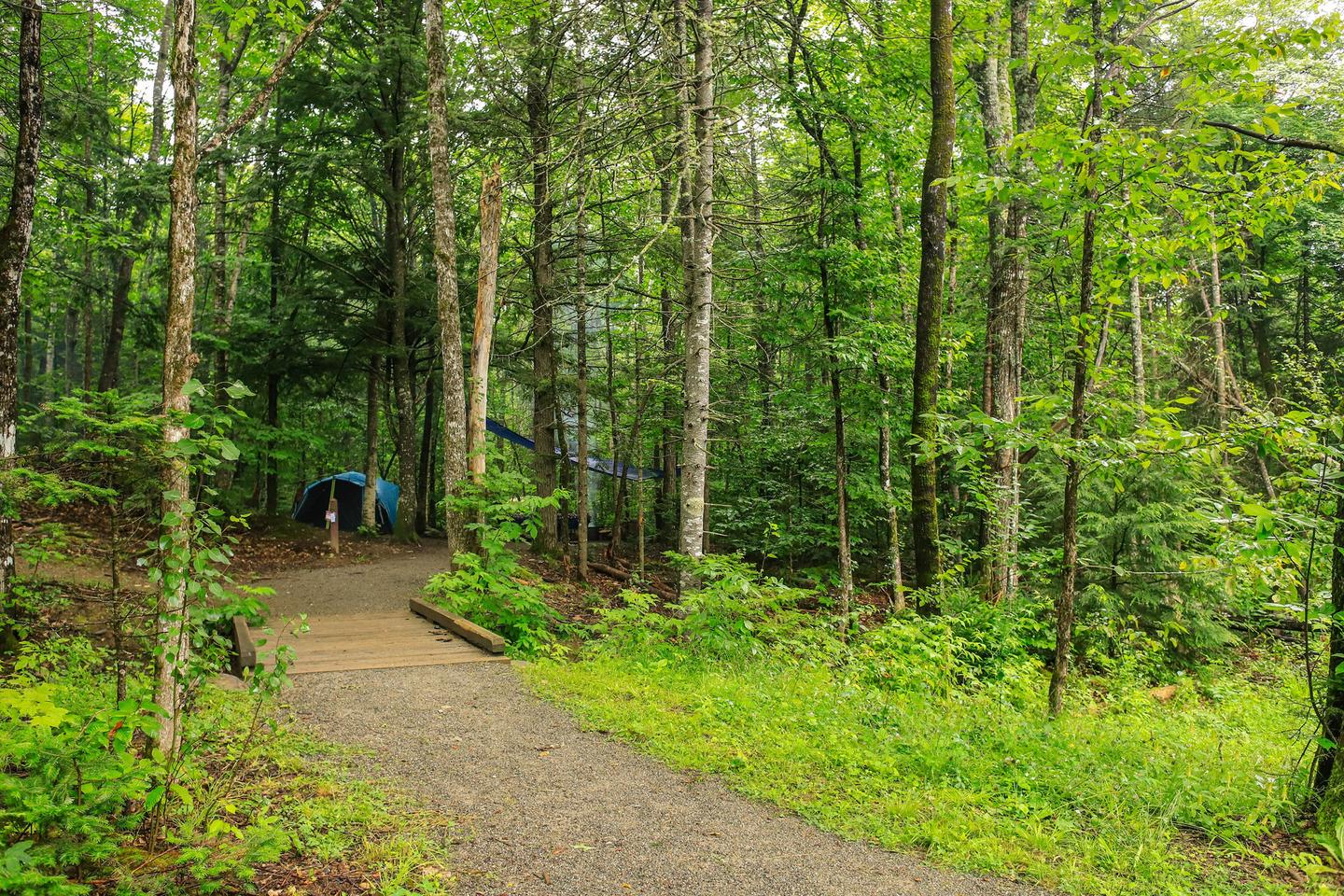 A level gravel path and wooden footbridge lead to campsite 1. A blue tent in the campsite is visible from the gravel path.Campsite 1 is the first to the right after you cross the small wooden bridge.