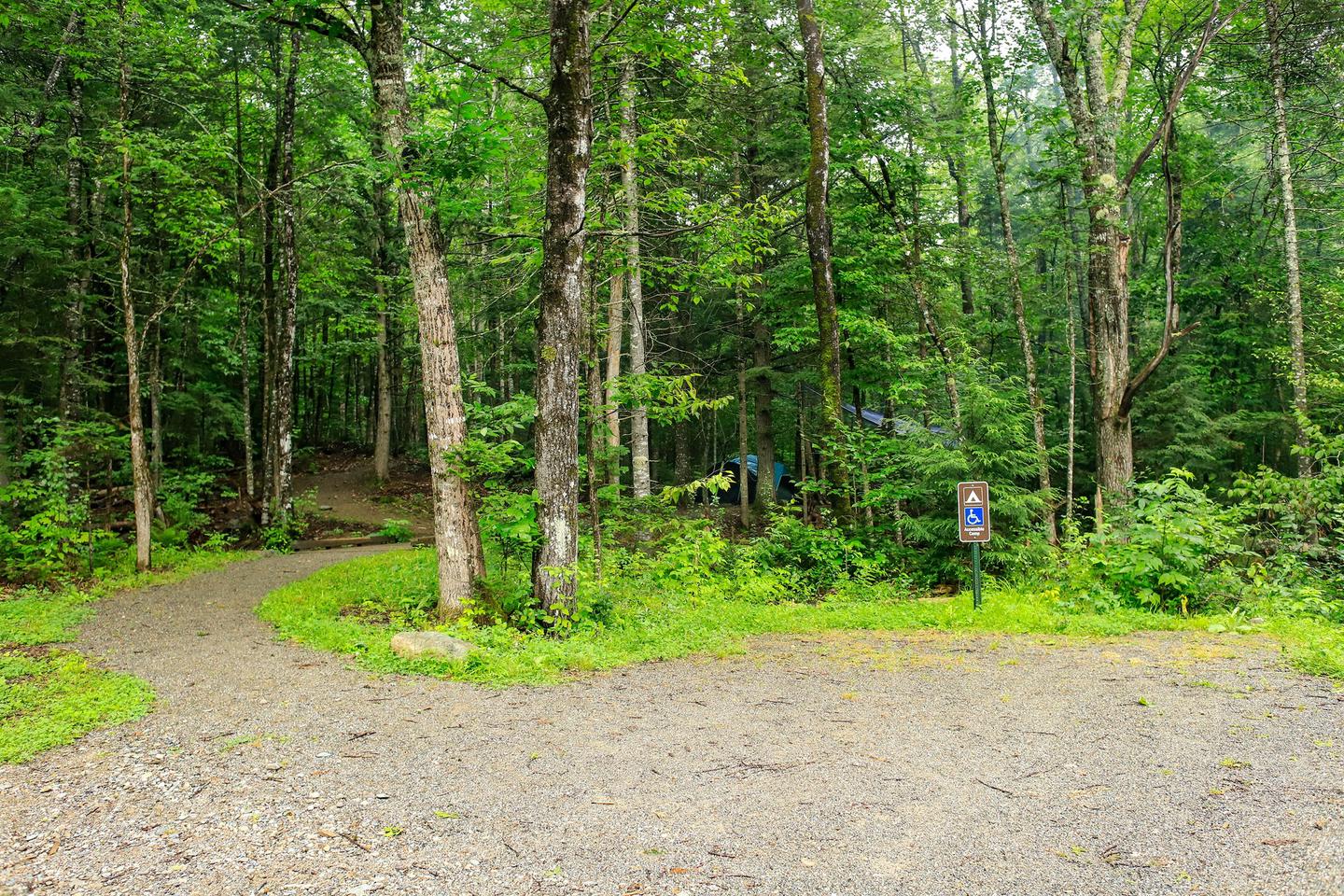 A level gravel surface accessible parking space is in the front. A level gravel path extends from the parking space into the campground. The campground is densely forested with thick green vegetation.The marked accessible parking space is for campsite 1.