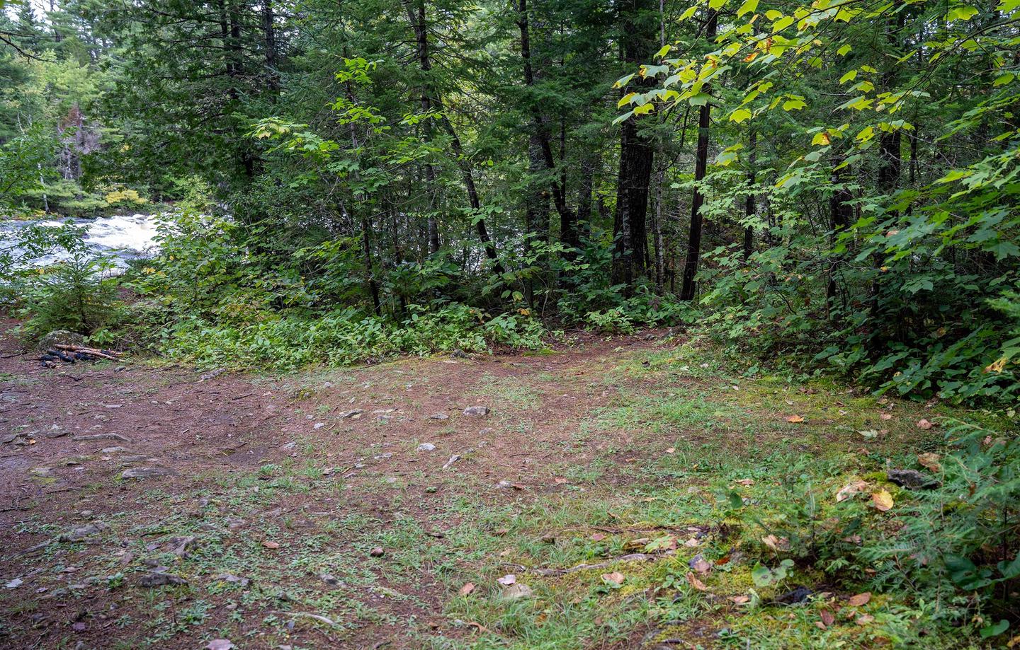 A fairly leveled dirt and gravel surface with grass is available for placing a tent. The river is visible in the background with the dense forest surrounding the campsite.The campsite has a mostly leveled ground to set up a tent.