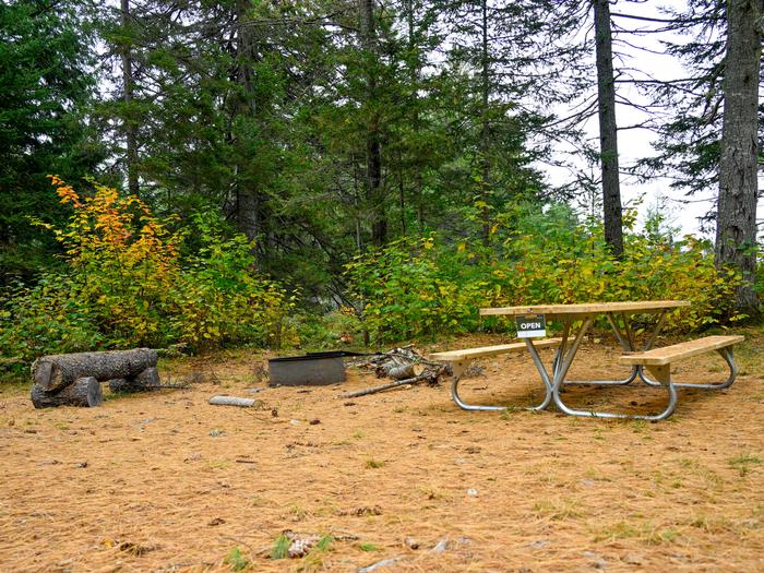 A campsite that has a log bench, a metal fire pit, and a picnic table. The picnic table has a metal frame and wood surfaces. The campsite is mostly leveled and clear with green shrubs and forest behind it.Hike or bike approximately a mile from the Wassataquoik Gate to camp at the Wassataquoik Campsite.