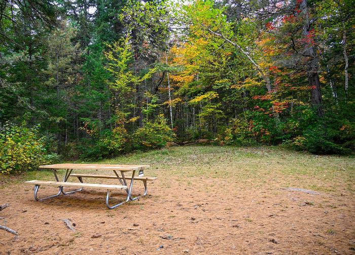 A picnic table sits at the bottom left corner of a empty campsite. The campsite is mostly leveled with short grass and gravel. Many tall trees frame the back of the campsite.This campsite is a wonderful location to enjoy the fall colors.