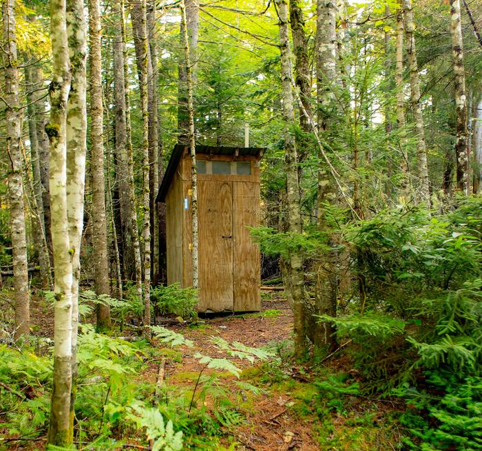 A rectangular wooden outhouse is visible behind tall birch trees in a dense green forest. A gravel trail goes past it.An outhouse is available near the lean-to.