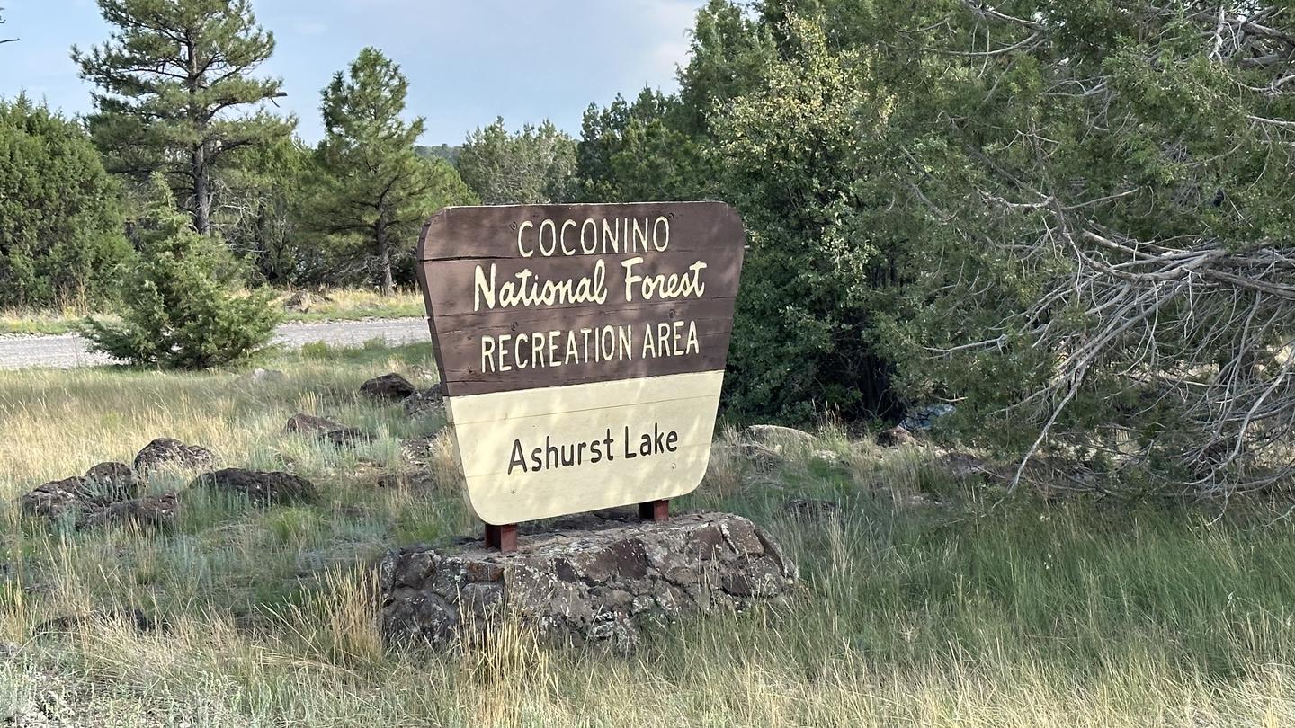 Ashurst Lake signAshurst Lake sign 2023
