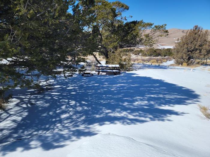 A photo of Site 008 of Loop Loop 1 at Pinon Flats Campground