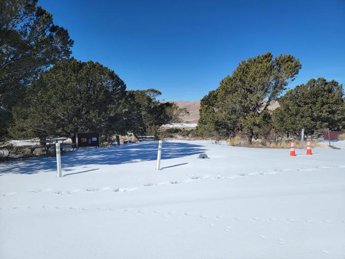 A photo of Site 008 of Loop Loop 1 at Pinon Flats Campground