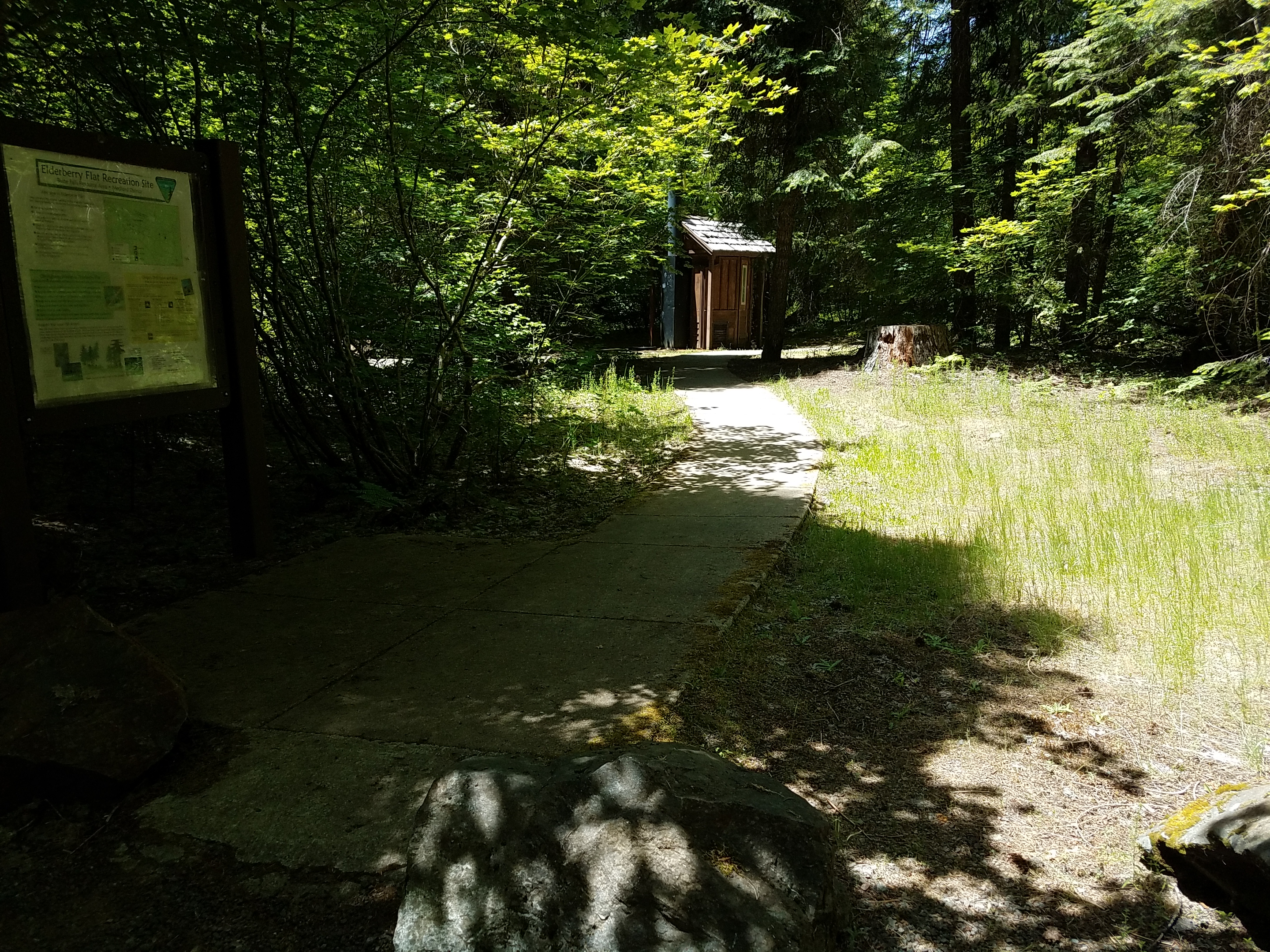 Accessible path at campsite 10