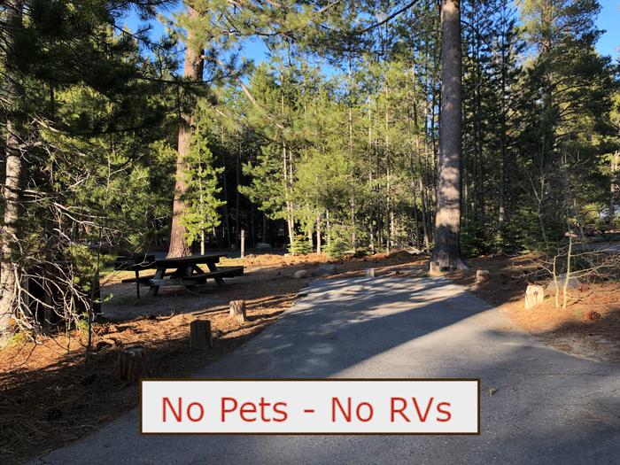 A Photo of campsite S01 showing paved parking area, picnic table and trees.  No Pets, No RVs banner.Campsite S01