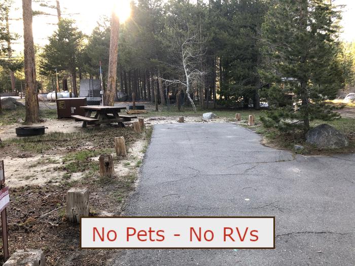 A Photo of campsite S02 showing paved parking area, picnic table, bear box and trees.   No Pets, No RVs banner.Tent Campsite S02