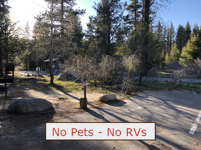 A Photo of campsite S03 showing paved parking area, grill and trees.   No Pets, No RVs banner.Tent Campsite S03