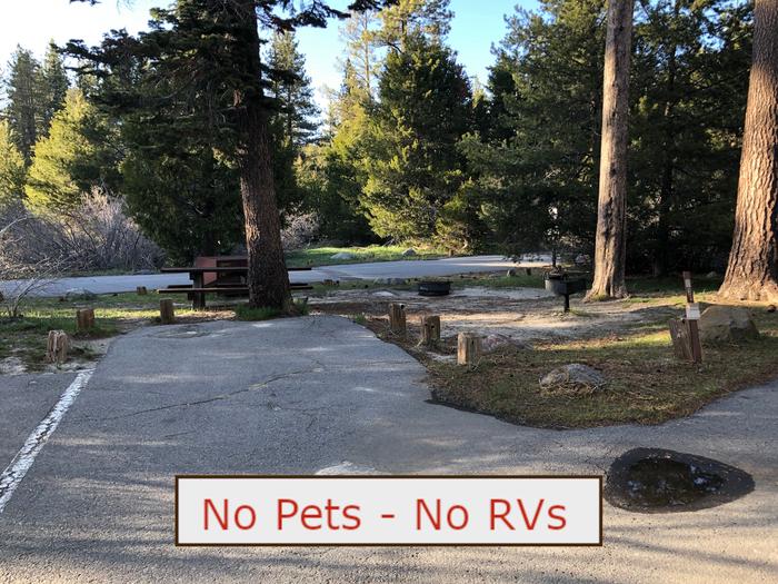 A Photo of campsite S04 showing paved parking area and trees.   No Pets, No RVs banner.Tent Campsite S04