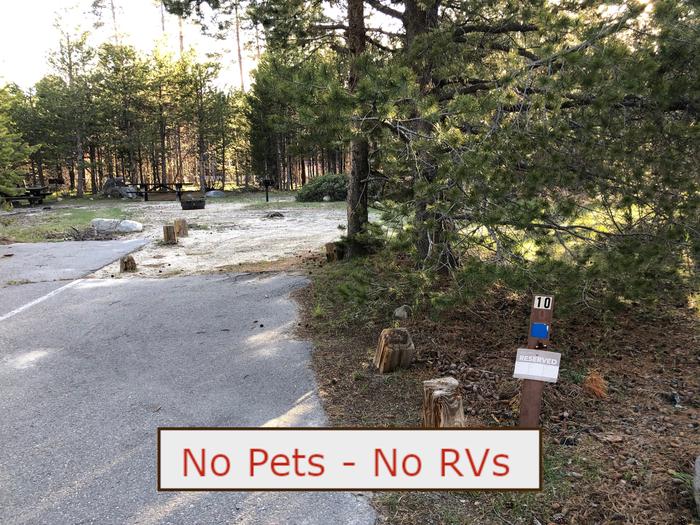 A Photo of campsite S10 showing paved parking area and trees.   No Pets, No RVs banner.Tent Campsite S10