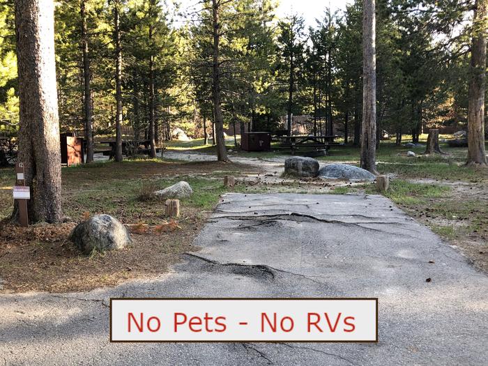A Photo of campsite S12 showing paved parking area, picnic table and trees.   No Pets, No RVs banner.Tent Campsite S12