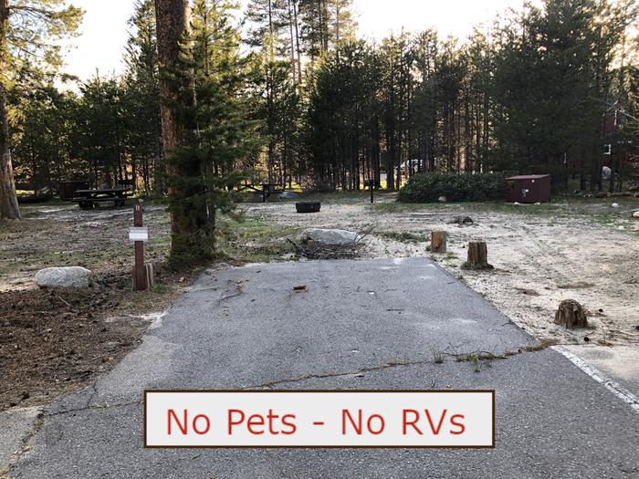 A Photo of campsite S11 showing paved parking area, picnic table and trees.   No Pets, No RVs banner.Campsite S11