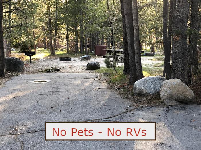 A Photo of campsite S13 showing paved parking area, picnic table, bear box and trees.   No Pets, No RVs banner.Tent Campsite S13