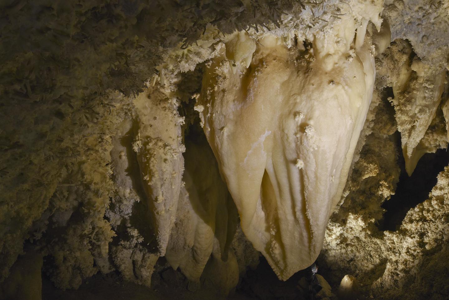 Two ton white stalactite surrounded by smaller formationsHeart of Timpanogos