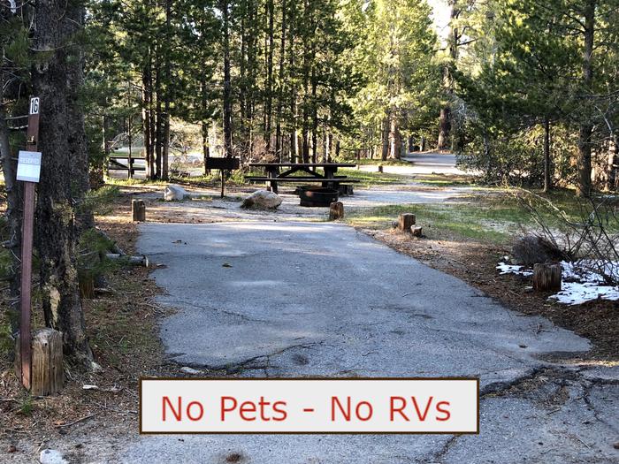 A Photo of campsite S16 showing paved parking area, picnic table and trees.   No Pets, No RVs banner.Tent Campsite S16
