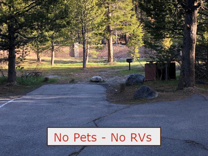 A Photo of campsite S17 showing paved parking area, picnic table and trees.   No Pets, No RVs banner.Tent Campsite S17