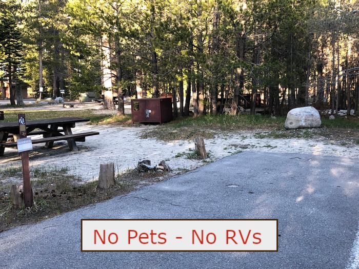 A Photo of campsite S20 showing paved parking area, picnic table and trees.   No Pets, No RVs banner.Tent Campsite S20