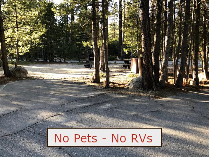 A Photo of campsite S22 showing paved parking area, picnic table and trees.   No Pets, No RVs banner.Tent Campsite S22