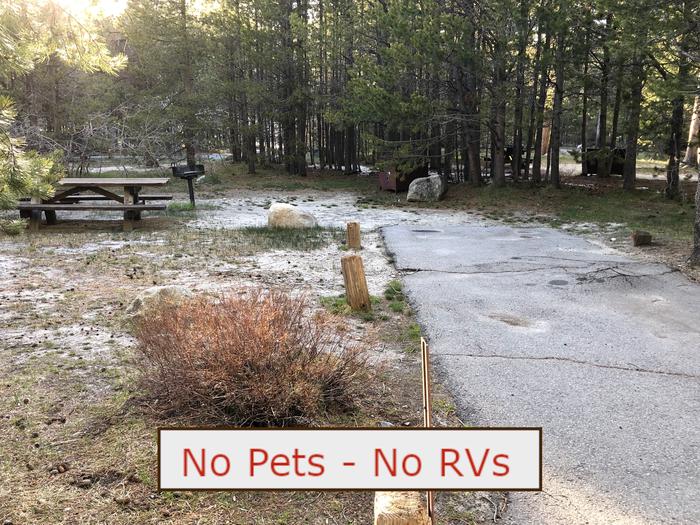 A Photo of campsite S24 showing paved parking area, picnic table and trees.   No Pets, No RVs banner.Tent Campsite S24