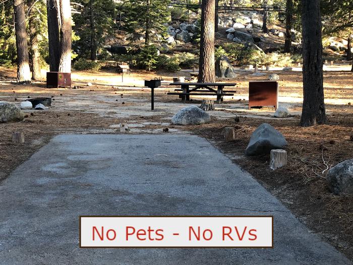 A Photo of campsite S29 showing paved parking area, picnic table and trees.   No Pets, No RVs banner.Tent Campsite S29