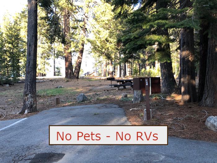 A Photo of campsite S34 showing paved parking area, picnic table, bear box and trees.   No Pets, No RVs banner.Tent Campsite S34