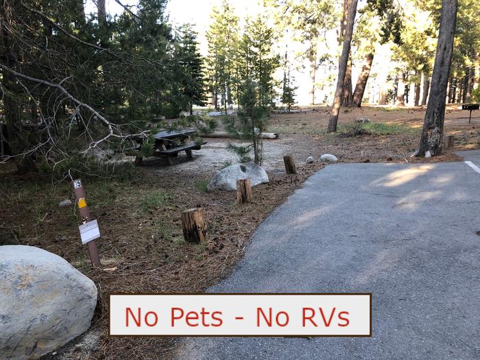 A Photo of campsite S35 showing paved parking area, picnic table, bear box and trees.   No Pets, No RVs banner.Tent Campsite S35