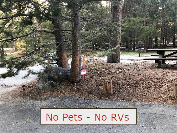 A Photo of campsite S36 showing paved parking area, picnic table, bear box and trees.   No Pets, No RVs banner.Tent Campsite S36