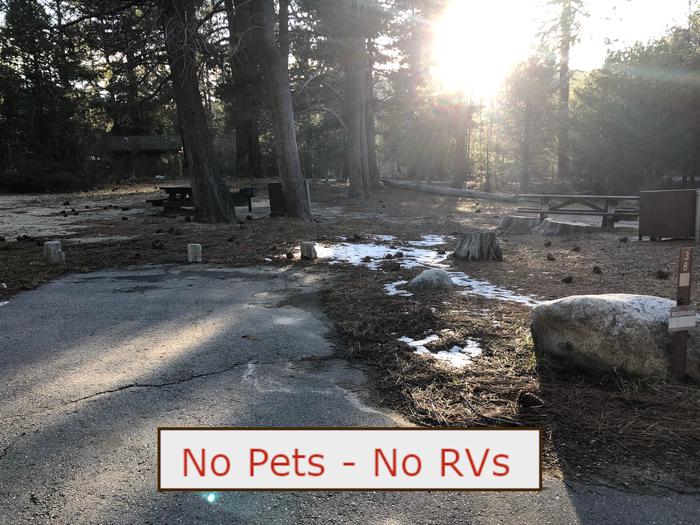 A Photo of campsite S38 showing paved parking area, picnic table, bear box and trees.   No Pets, No RVs banner.Tent Campsite S38