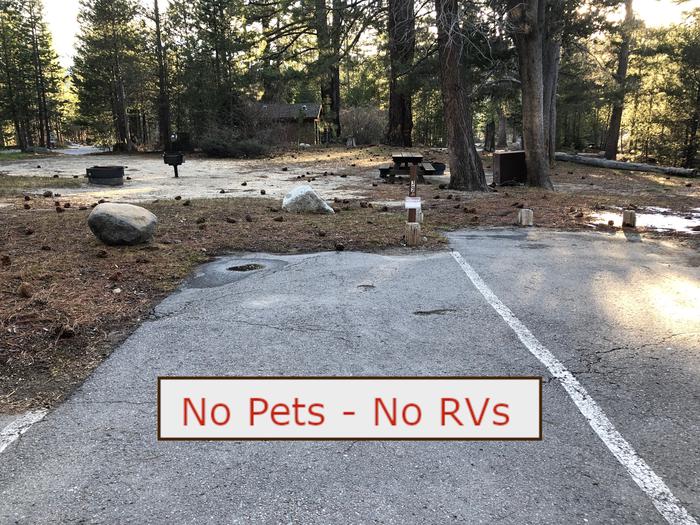 A Photo of campsite S39 showing paved parking area, picnic table, bear box and trees.   No Pets, No RVs banner.Tent Campsite S39