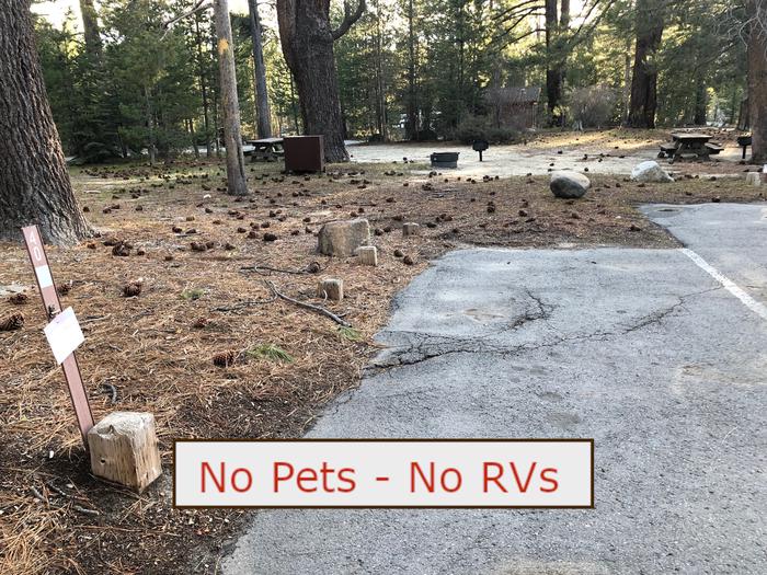 A Photo of campsite S40 showing paved parking area, picnic table, bear box and trees.   No Pets, No RVs banner.Tent Campsite S40