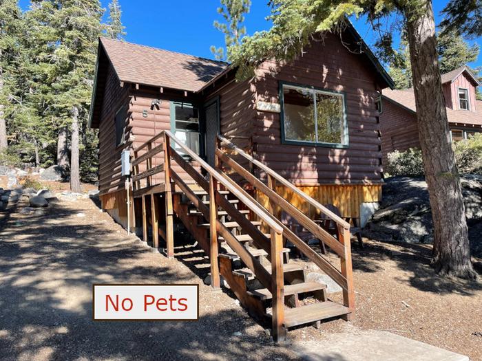 Exterior view of Cabin 5, nestled on a hillside under tall evergreen trees. No Pets banner.Cabin 5 Exterior View.