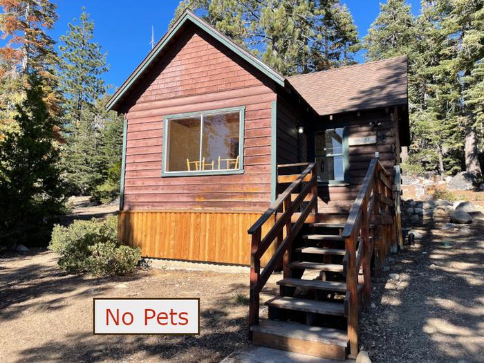 Exterior view of Cabin 6, nestled on a hillside under tall evergreen trees. No Pets banner.Cabin 6 Exterior View.