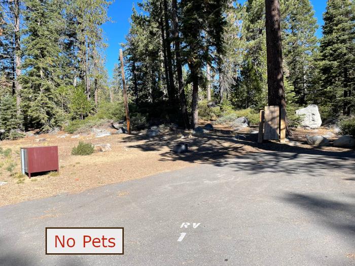 RV site 1 situated under tall evergreen trees with paved parking pad and metal bear box. No pets banner.RV Site 1