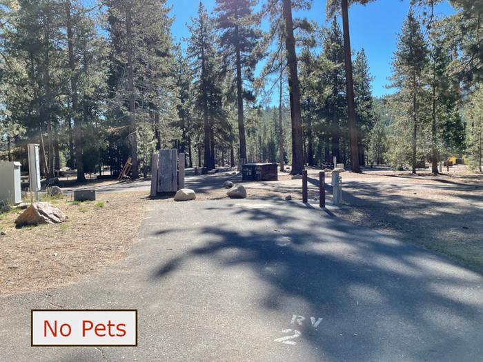 RV site 2 situated under tall evergreen trees with paved parking pad and metal bear box. No pets banner.RV site 2