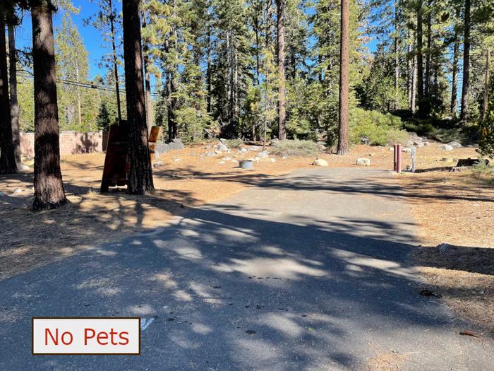 RV site 3 situated under tall evergreen trees with paved parking pad and fire ring. No pets banner.RV Site 3