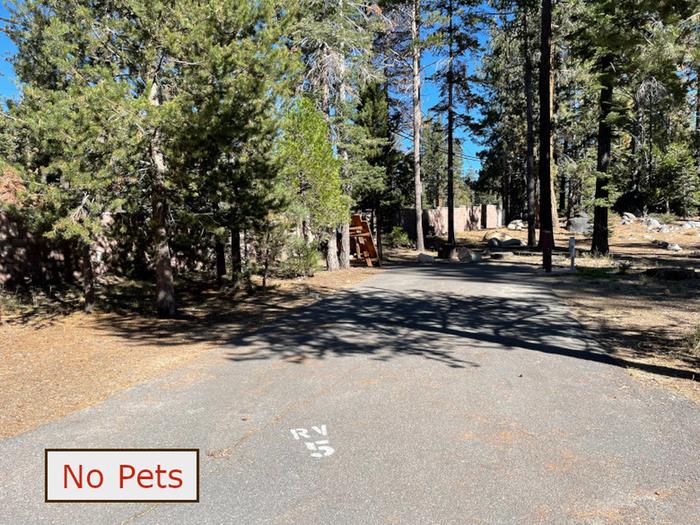 RV site 5 situated under tall evergreen trees with paved parking pad and fire ring. No pets banner.RV Site 5