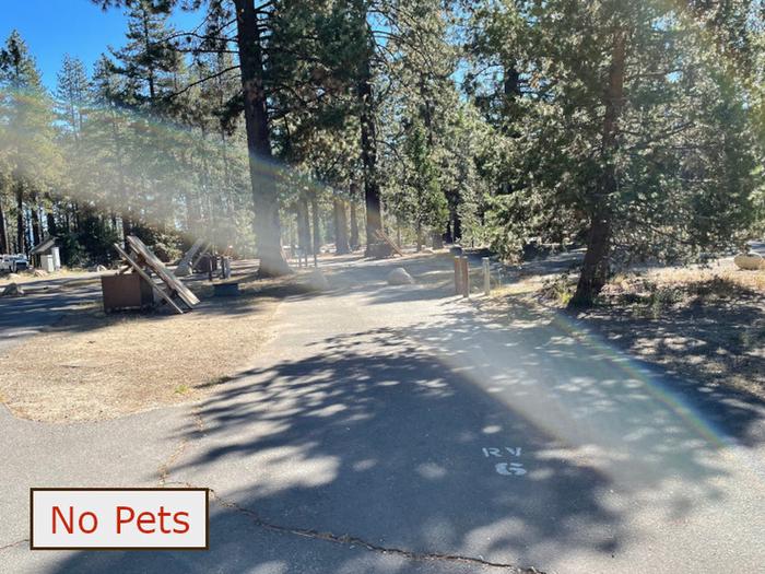 RV site 6 situated under tall evergreen trees with paved parking pad and fire ring. No pets banner.RV Site 6